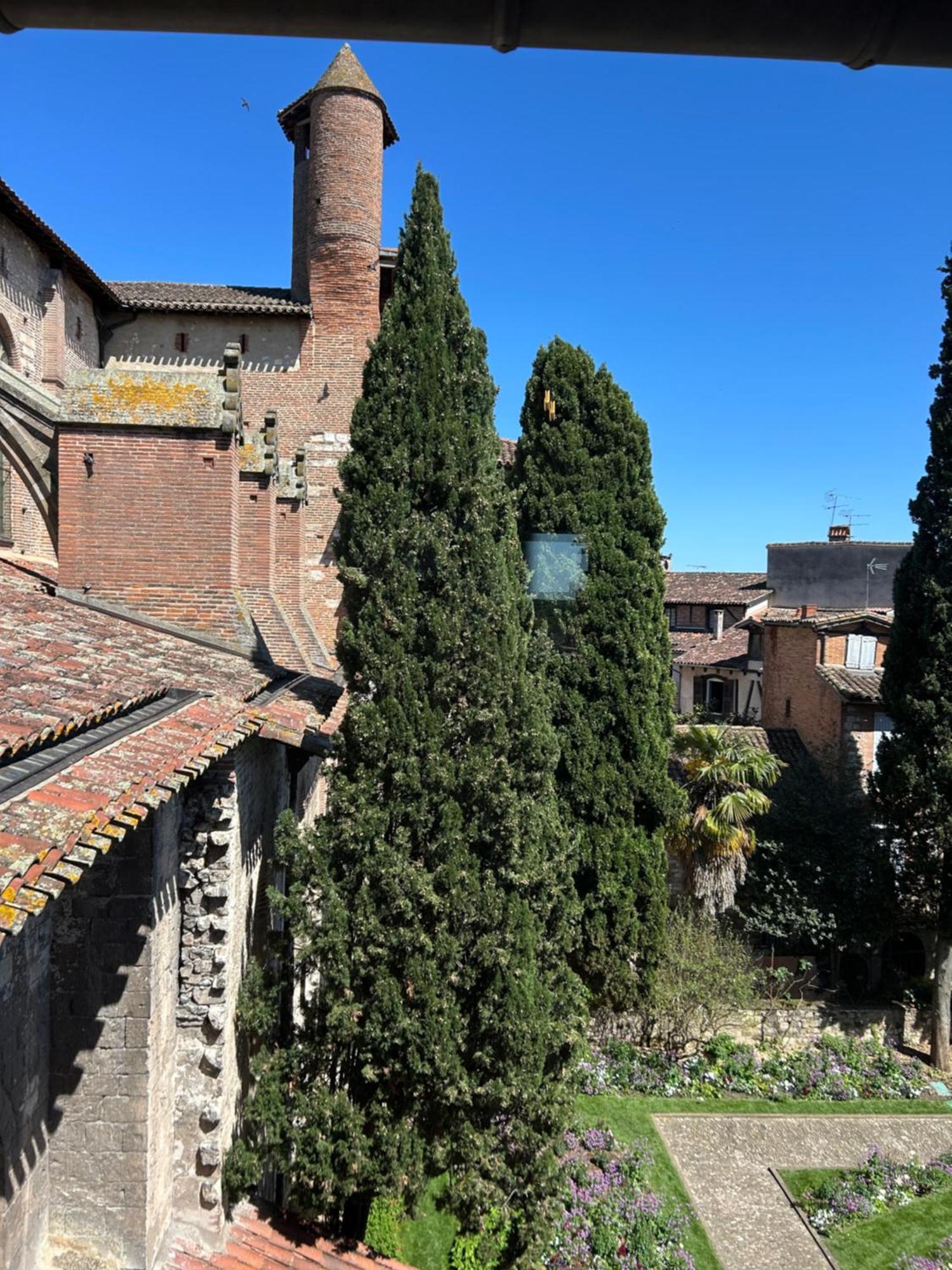 La Maison Du Prevot Albi Exterior photo